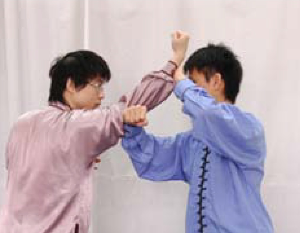 Kung Fu Beginner Levels class